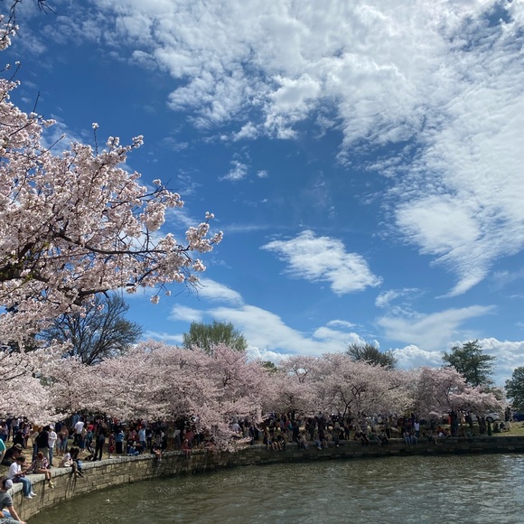 Meet your Posher, Madelyn - Picture 2 of 2